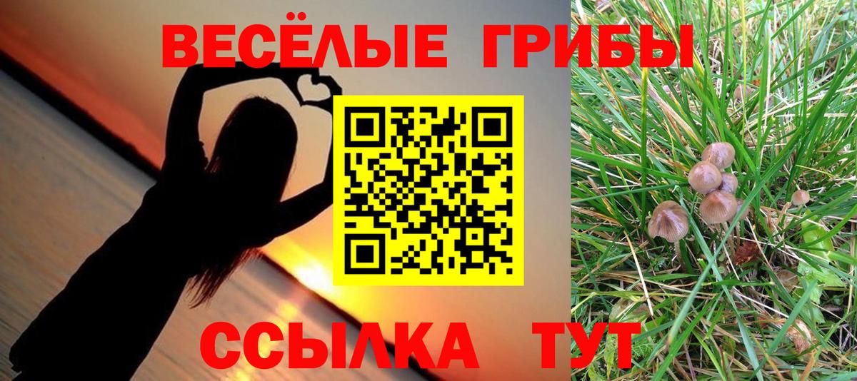 Ростов Великий  Галлюциногенные грибы ЛСД  Псилоцибиновые грибы Psilocybine cubensis  Вход с VPN 