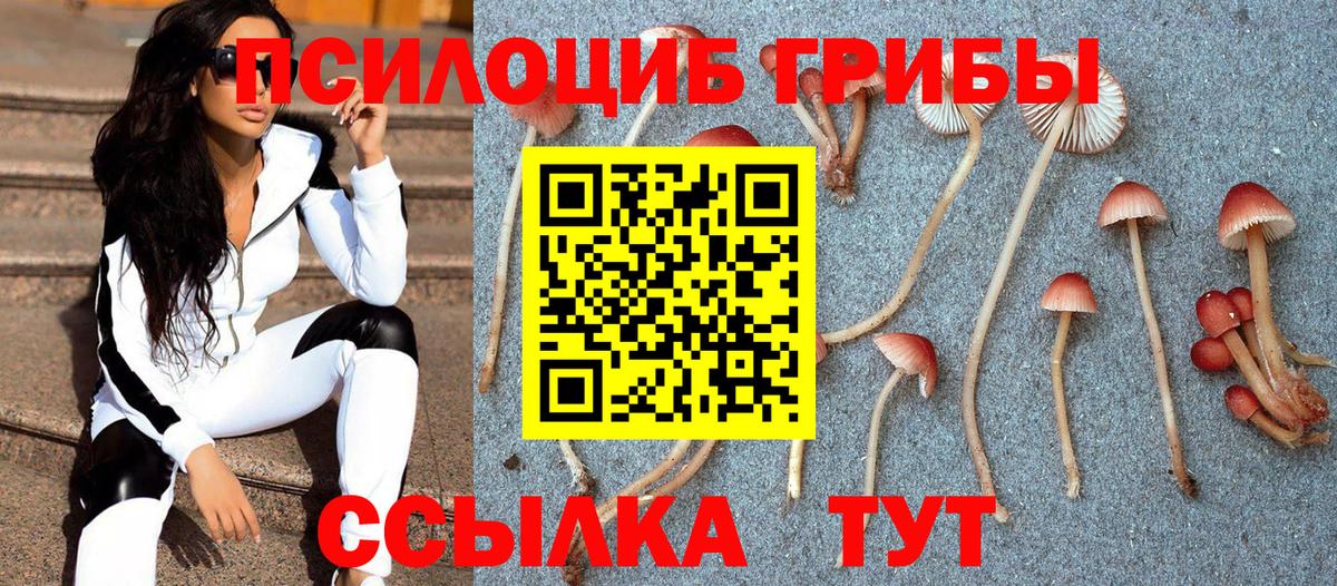 Галлюциногенные грибы мухоморы Ростов Великий
